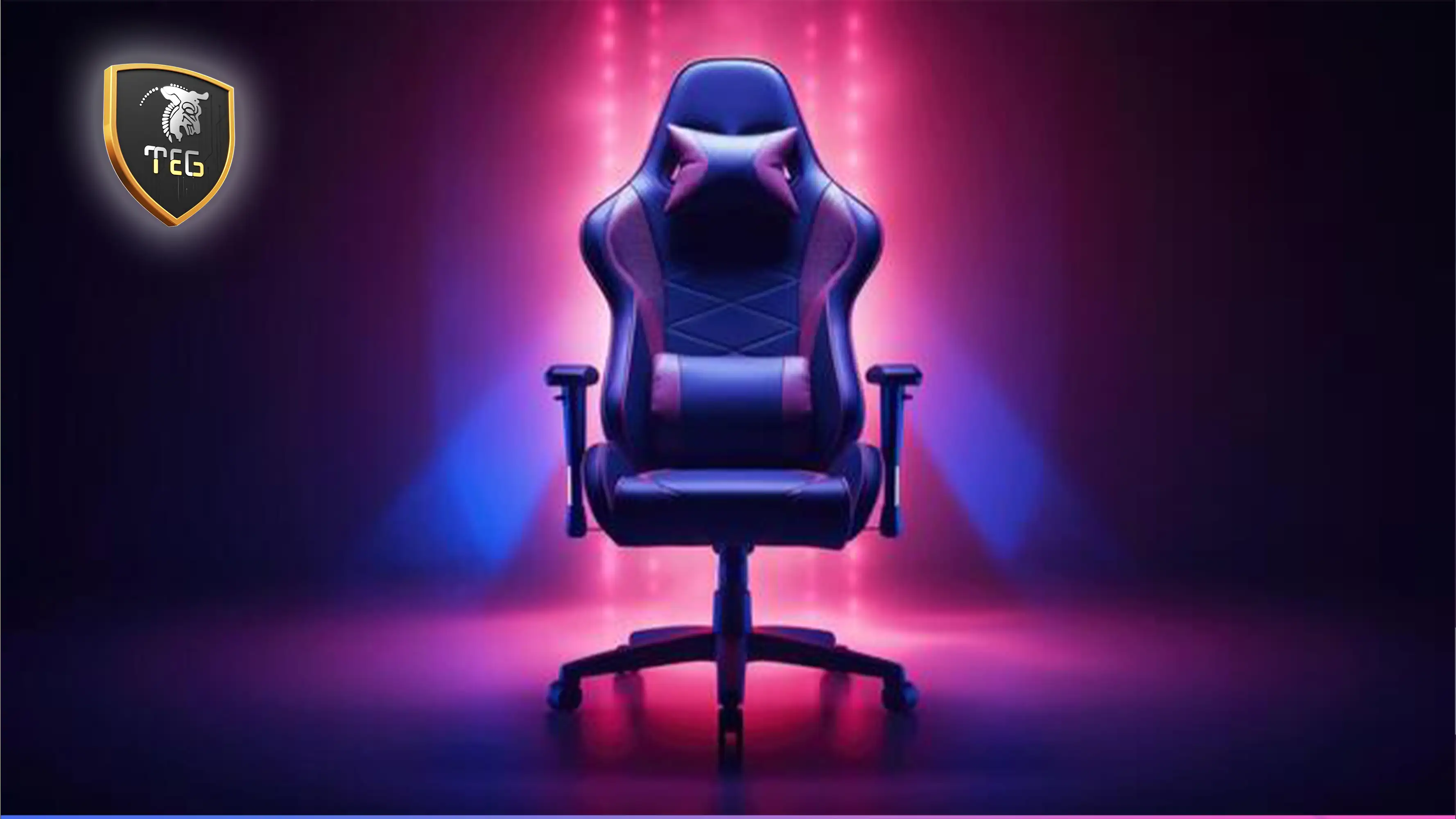 اسپانسرینگ تیم گیمینگ Fnetic توسط Dxracer